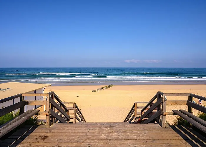 La De La Dune ~ Au Bord De L'ocean Appartement *